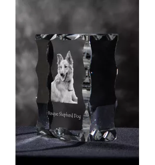 Berger basque - cristal avec photo de chien, statuette en verre avec photo, cadre exceptionnel avec photo de la marque Art-Dog