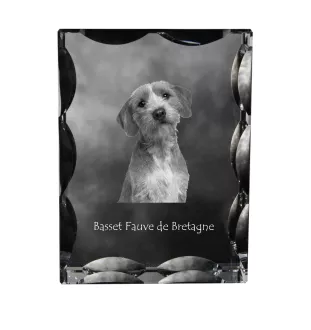 Basset Fauve de Bretagne - cristal avec photo de chien, statuette en verre avec photo, cadre exceptionnel avec photo de la marque Art-Dog