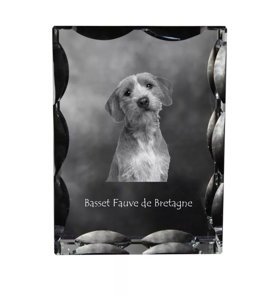 Basset Fauve de Bretagne - cristal avec photo de chien, statuette en verre avec photo, cadre exceptionnel avec photo de la marque Art-Dog