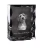 Basset Fauve de Bretagne, Fawn Brittany Basset - crystal with a picture of a dog, glass statuette with a picture, unique frame with a picture from Art-Dog brand