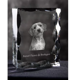 Basset Fauve de Bretagne - cristal avec photo de chien, statuette en verre avec photo, cadre exceptionnel avec photo de la marque Art-Dog