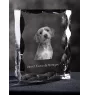 Basset Fauve de Bretagne - cristal avec photo de chien, statuette en verre avec photo, cadre exceptionnel avec photo de la marque Art-Dog