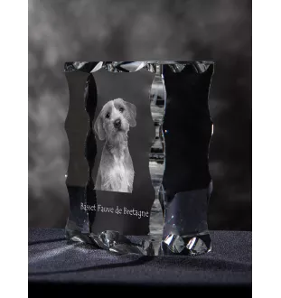 Basset Fauve de Bretagne - cristal avec photo de chien, statuette en verre avec photo, cadre exceptionnel avec photo de la marque Art-Dog