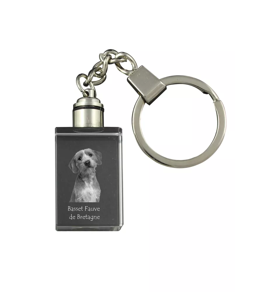 Basset Fauve de Bretagne - Porte-clés en cristal avec photo de chien, porte-clés lumineux, cadeau unique de la marque Art-Dog