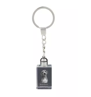 Basset Fauve de Bretagne - Porte-clés en cristal avec photo de chien, porte-clés lumineux, cadeau unique de la marque Art-Dog