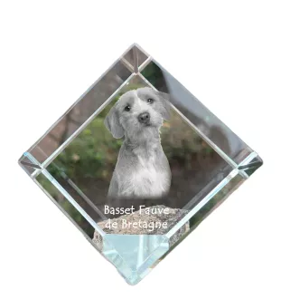 Basset Fauve de Bretagne, Fawn Brittany Basset - crystal cube with a photo, photo of a horse in crystal, cubic paperweight from Art-Dog brand