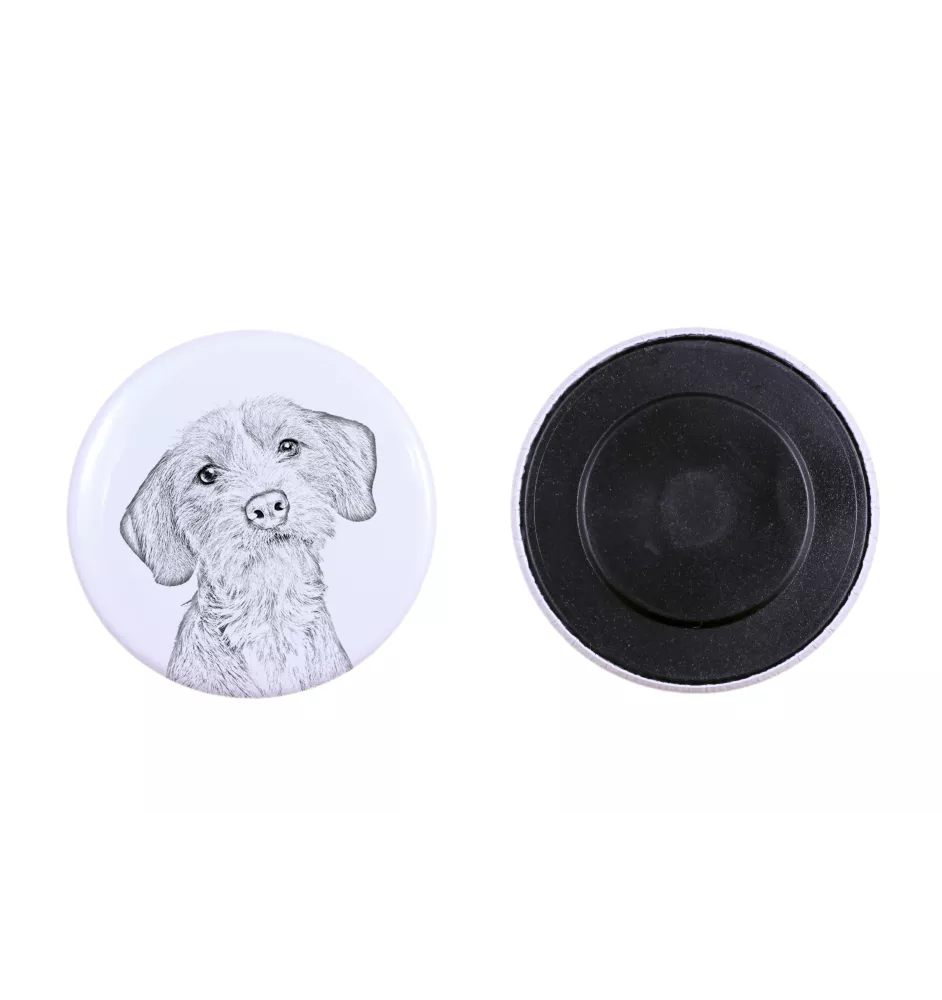 Basset Fauve de Bretagne, Fawn Brittany Basset - magnet with a dog's pupil, exceptionally light, strong magnet, handmade product by the Art-Dog brand