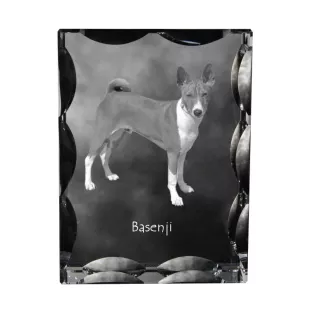 Basenji, Kongo-Terrier - Kristall mit einem Hundebild, Glasstatuette mit einem Bild, einzigartiger Bilderrahmen der Marke Art-Dog