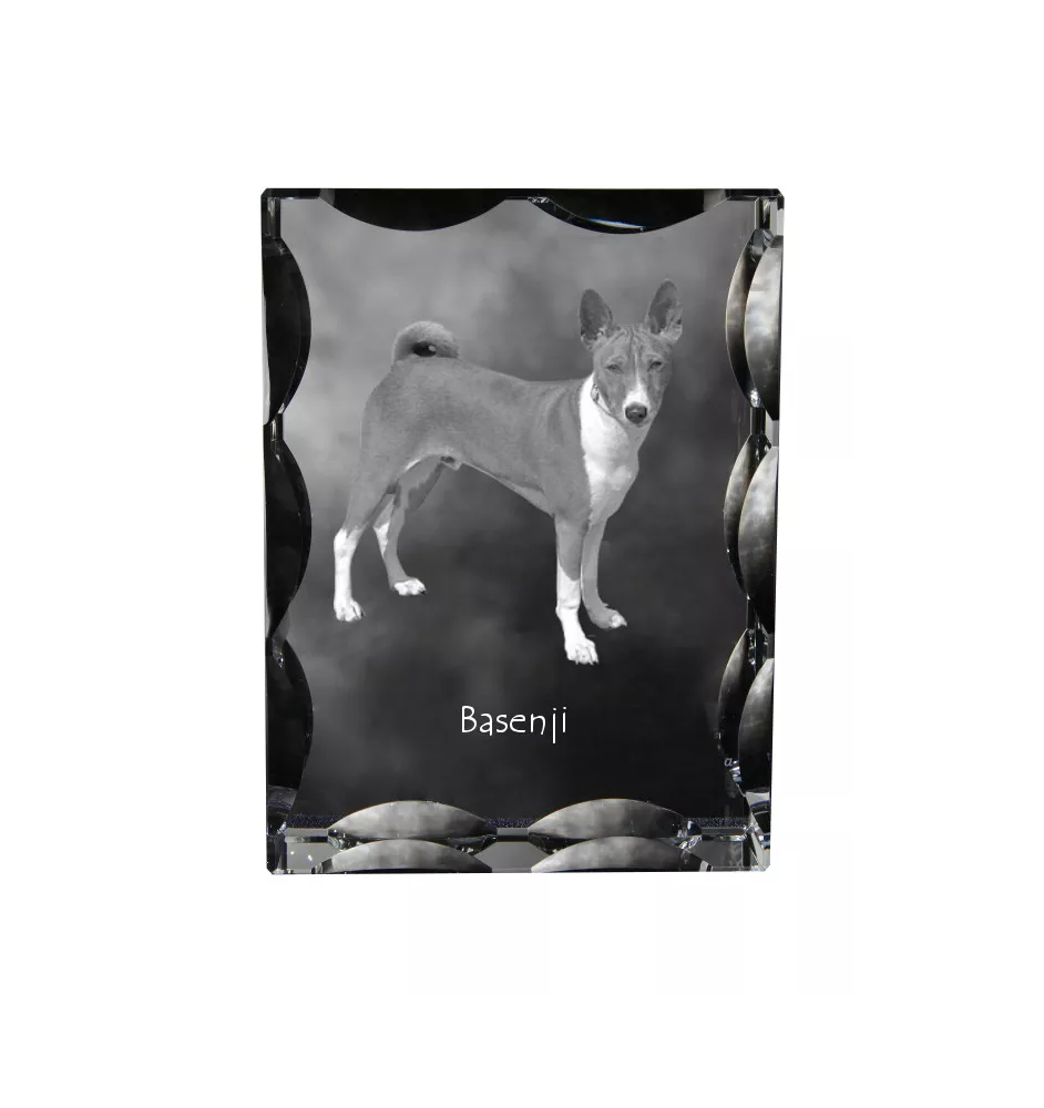 Basenji, Terrier Nyam-Nyam, Terrier du Congo - cristal avec photo de chien, statuette en verre avec photo, cadre exceptionnel avec photo de la marque Art-Dog