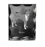 Basenji, Kongo-Terrier - Kristall mit einem Hundebild, Glasstatuette mit einem Bild, einzigartiger Bilderrahmen der Marke Art-Dog