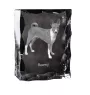 Basenji ramka kryształowa z psem Art-Dog