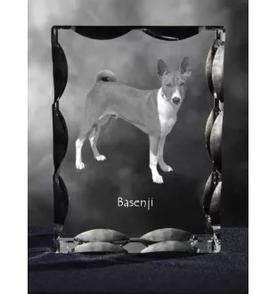 Basenji, Kongo-Terrier - Kristall mit einem Hundebild, Glasstatuette mit einem Bild, einzigartiger Bilderrahmen der Marke Art-Dog