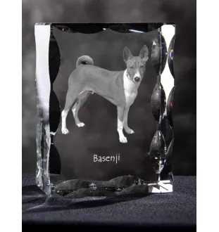Basenji, Kongo-Terrier - Kristall mit einem Hundebild, Glasstatuette mit einem Bild, einzigartiger Bilderrahmen der Marke Art-Dog