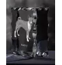 Basenji, Terrier Nyam-Nyam, Terrier du Congo - cristal avec photo de chien, statuette en verre avec photo, cadre exceptionnel avec photo de la marque Art-Dog