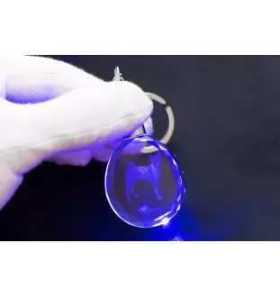 Basenji, Terrier Nyam-Nyam, Terrier du Congo - pendentif avec une photo de chien, porte-clés en cristal dans une boîte cadeau, un cadeau unique par Art-Dog