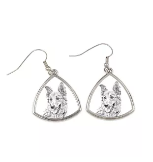 Berger basque - boucles d'oreilles avec chien, boucles d'oreilles pendantes avec photo, bijoux personnalisés avec impression de la marque Art-Dog
