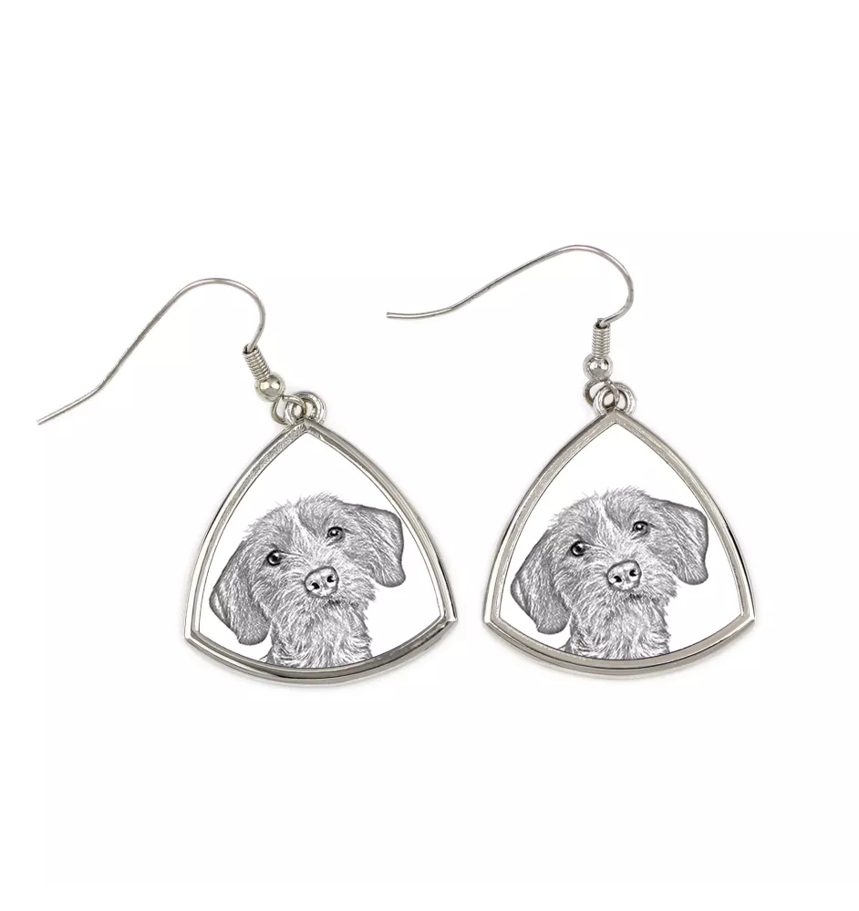Basset Fauve de Bretagne - boucles d'oreilles avec chien, boucles d'oreilles pendantes avec photo, bijoux personnalisés avec impression de la marque Art-Dog