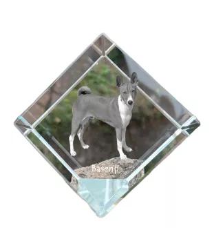 Basenji, African bush dog, Congo dog - crystal cube with a photo, photo of a horse in crystal, cubic paperweight from Art-Dog brand