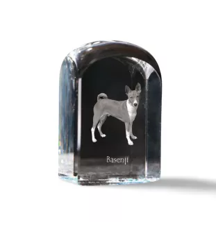 Basenji, African bush dog, Congo dog - crystal cube with a photo, photo of a dog in crystal, cubic paperweight from Art-Dog brand