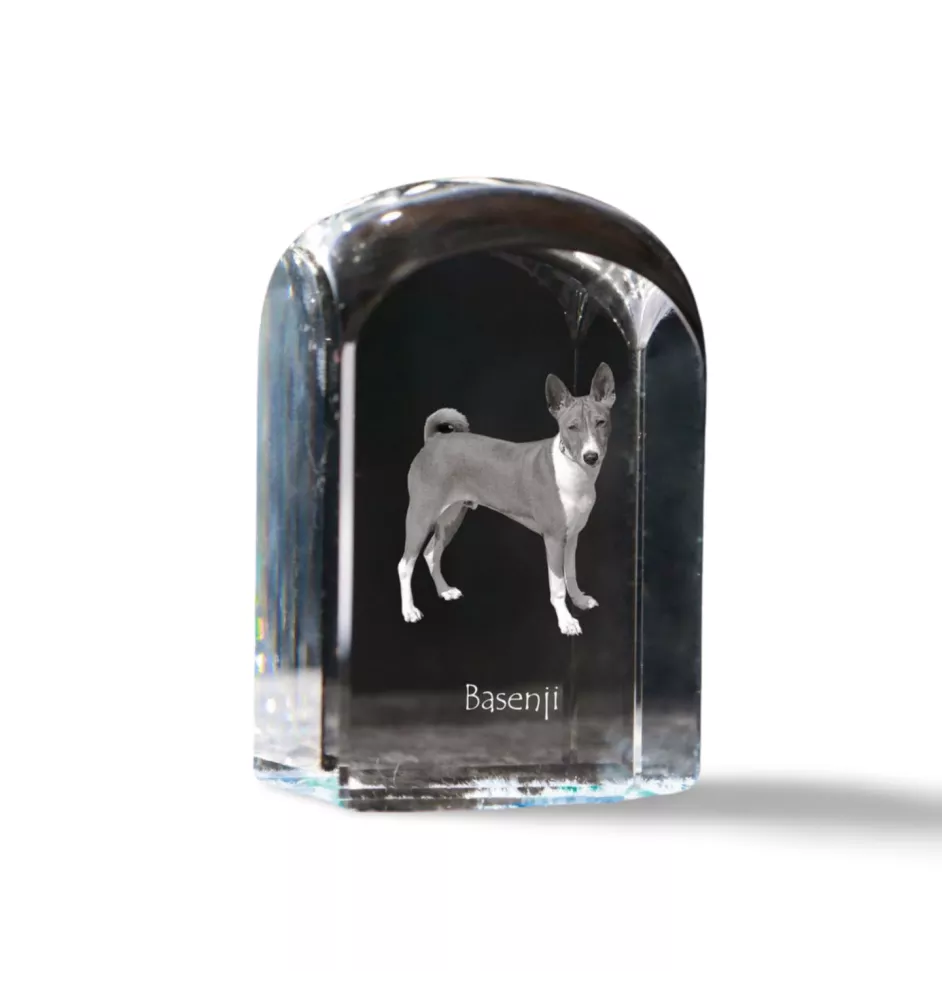 Basenji, Terrier Nyam-Nyam, Terrier du Congo - un cube de cristal avec une photo, une photo de chien dans le cristal, un presse-papiers cubique de la marque Art-Dog