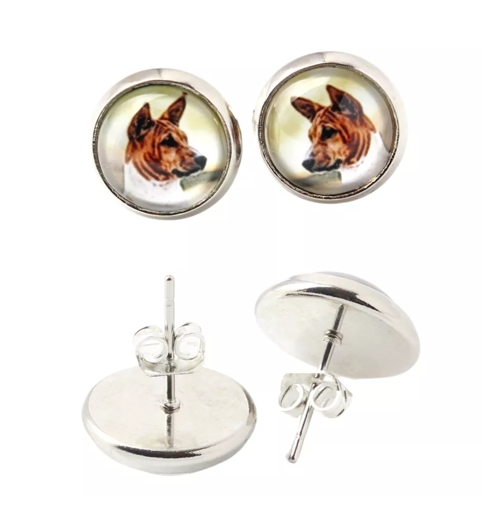 Basenji kolczyki w pudełku ze zdjęciem Art-Dog