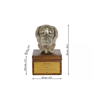 Chien de rouge de Bavière - urne pour les cendres du chien avec une statuette, petite urne pour chien, urne personnalisée avec le buste du chien de la marque Art-Dog