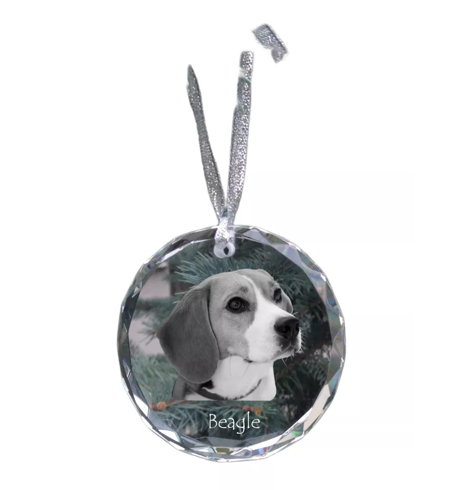 Beagle - Kristallkugel mit Foto, Hundebild im Kristall, personalisierter Christbaumschmuck von Art-Dog.