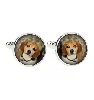 Beagle spinka do mankietów w pudełku ze zdjęciem Art-Dog