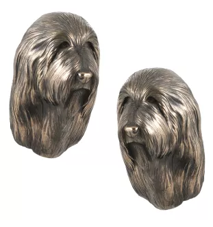 Collie Barbu, Bearded collie, Parfois appelé colley barbu - Statue de chien, buste suspendu, décoration unique pour les amoureux des chiens par la marque Art-Dog