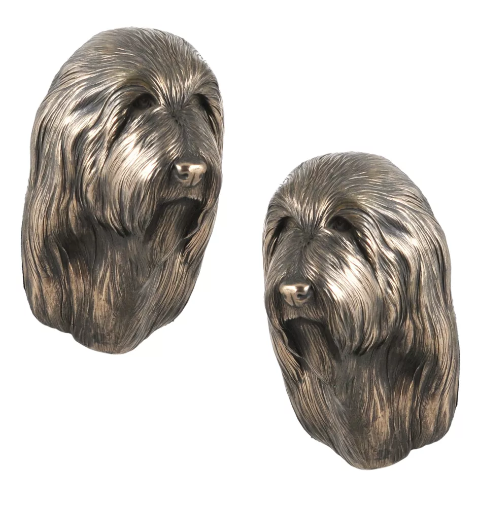Bearded Collie, Highland Collie, Mountain Collie - Dog statue, hanging bust, unique decoration for dog lover by Art-Dog brand