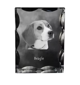 Beagle - Kristall mit einem Hundebild, Glasstatuette mit einem Bild, einzigartiger Bilderrahmen der Marke Art-Dog