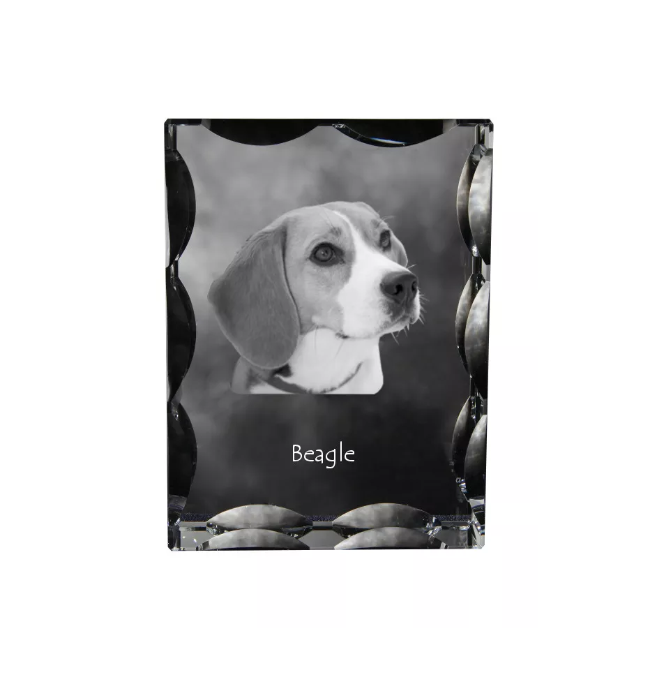 Beagle - Kristall mit einem Hundebild, Glasstatuette mit einem Bild, einzigartiger Bilderrahmen der Marke Art-Dog