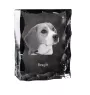 Beagle ramka kryształowa z psem Art-Dog