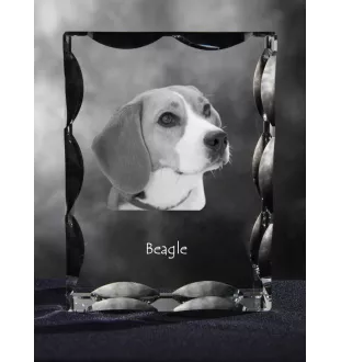 Beagle ramka kryształowa z psem Art-Dog
