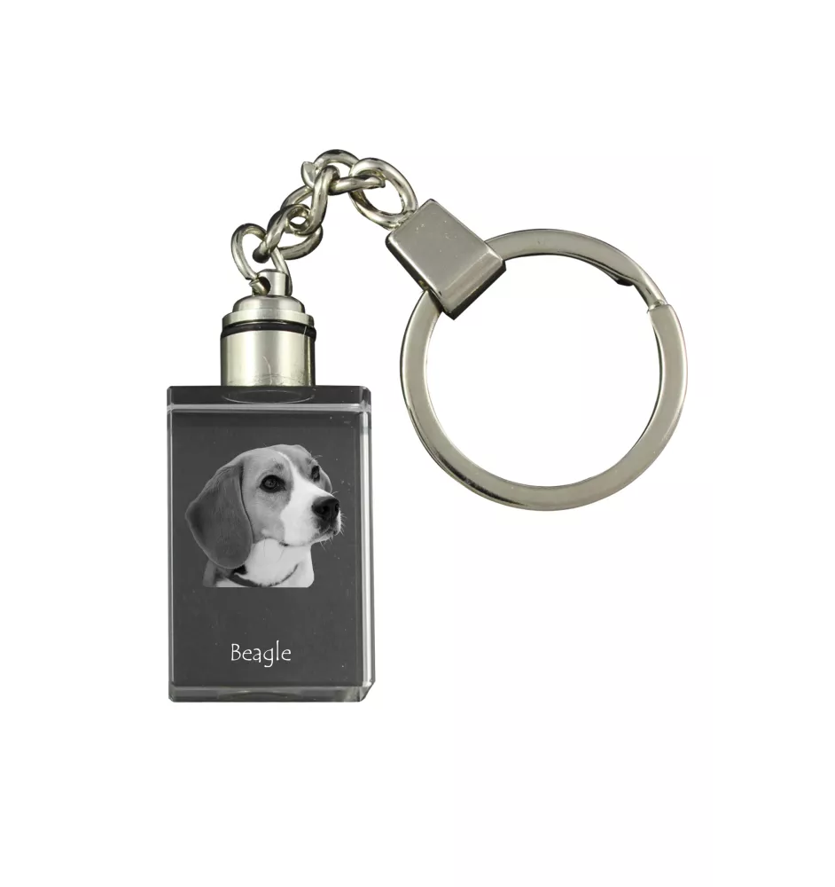 Beagle - Porte-clés en cristal avec photo de chien, porte-clés lumineux, cadeau unique de la marque Art-Dog
