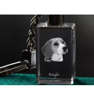 Beagle - Schlüsselanhänger aus Kristall mit Hundefoto, beleuchteter Schlüsselanhänger, einzigartiges Geschenk der Marke Art-Dog