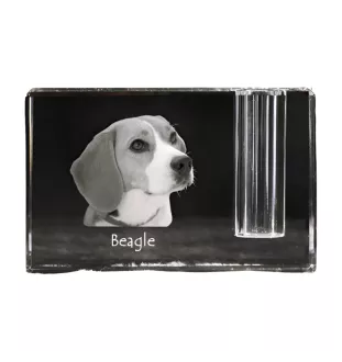 Beagle - Stifthalter, Kristallorganizer mit Hundefoto, einzigartige Schreibtischdekoration der Marke Art-Dog