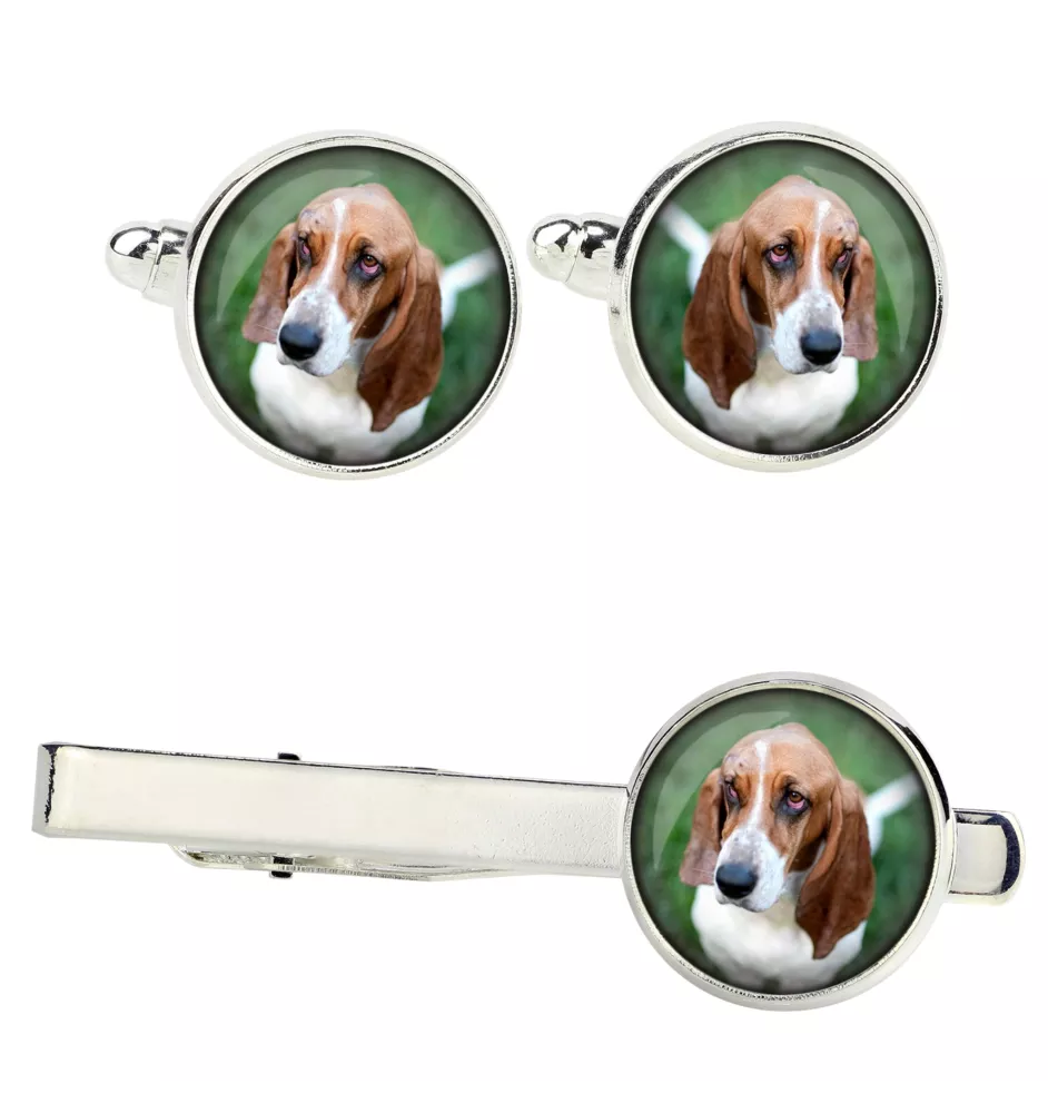 Basset Hound zestaw spinek w pudełku ze zdjęciem Art-Dog