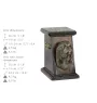 Bearded Collie, Highland Collie, Mountain Collie - urn for dog ashes, elegant urn with a statue, commemorative urn with a bust of a dog by Art-Dog brand