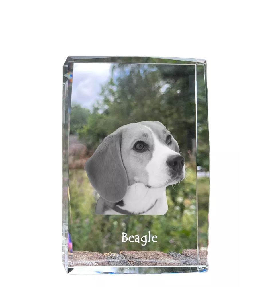 Beagle - Kristall mit einem Hundebild, Bild im Glas, moderne Ausstellung des Art-Dog-Bildes.