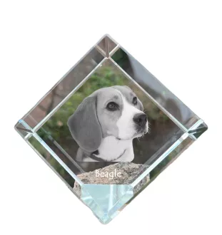 Beagle - un cube de cristal avec une photo, une photo de cheval dans le cristal, un presse-papiers cubique de la marque Art-Dog
