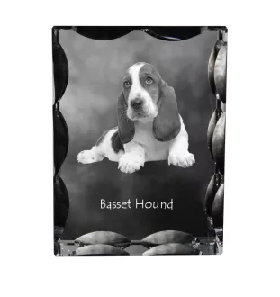 Basset Hound - crystal with a picture of a dog, glass statuette with a picture, unique frame with a picture from Art-Dog brand
