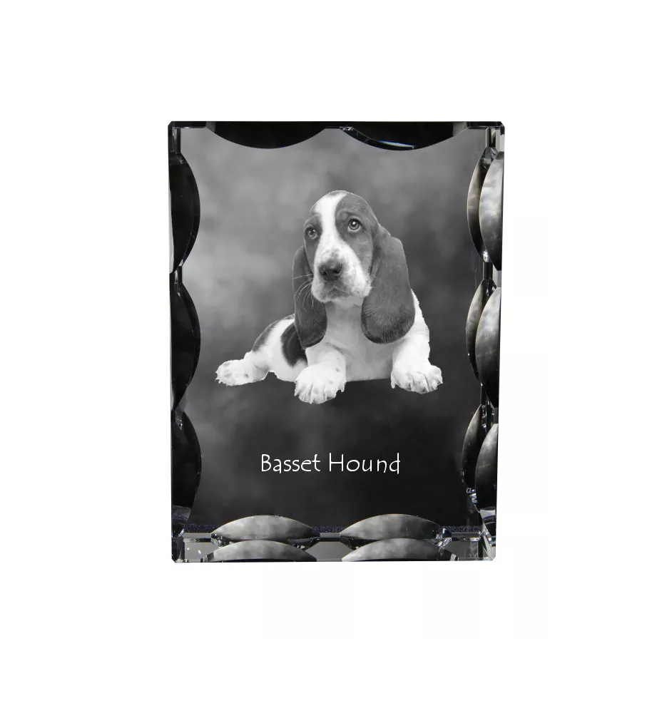 Basset Hound - crystal with a picture of a dog, glass statuette with a picture, unique frame with a picture from Art-Dog brand