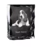 Basset Hound - Kristall mit einem Hundebild, Glasstatuette mit einem Bild, einzigartiger Bilderrahmen der Marke Art-Dog