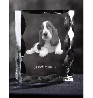 Basset Hound - Kristall mit einem Hundebild, Glasstatuette mit einem Bild, einzigartiger Bilderrahmen der Marke Art-Dog