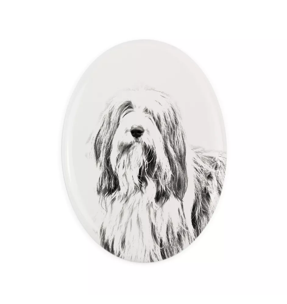 Bearded Collie, Highland Collie, Mountain Collie - commemorative plaque with a photo of a dog, tombstone with a print, personalized oval plaque from the Art-Dog brand