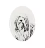 Bearded Collie - Gedenktafel mit einem Foto eines Hundes, Grabplatte mit Druck, personalisierte ovale Platte der Marke Art-Dog