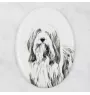 Collie Barbu, Bearded collie, Parfois appelé colley barbu - une plaque commémorative avec une photo de chien, une plaque funéraire avec une impression, une plaque ovale personnalisée de la marque Art-