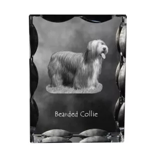 Bearded Collie, Highland Collie, Mountain Collie - crystal with a picture of a dog, glass statuette with a picture, unique frame with a picture from Art-Dog brand