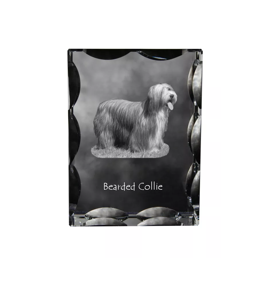 Bearded Collie, Highland Collie, Mountain Collie - crystal with a picture of a dog, glass statuette with a picture, unique frame with a picture from Art-Dog brand